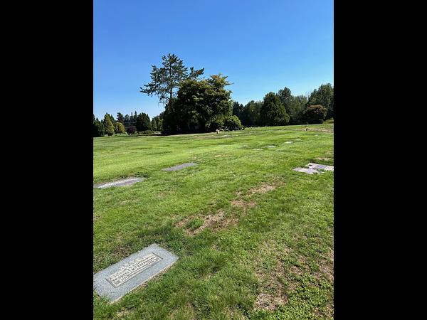 4 burial plots available for sale in Greenwood Memorial | BurialLink